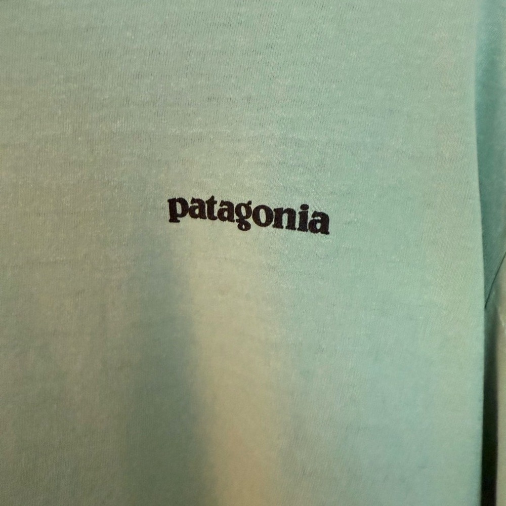 Men's Patagonia Long sleeve SZL Buffalo emblem on t-shirt back, has some wear. - Picture 4 of 9